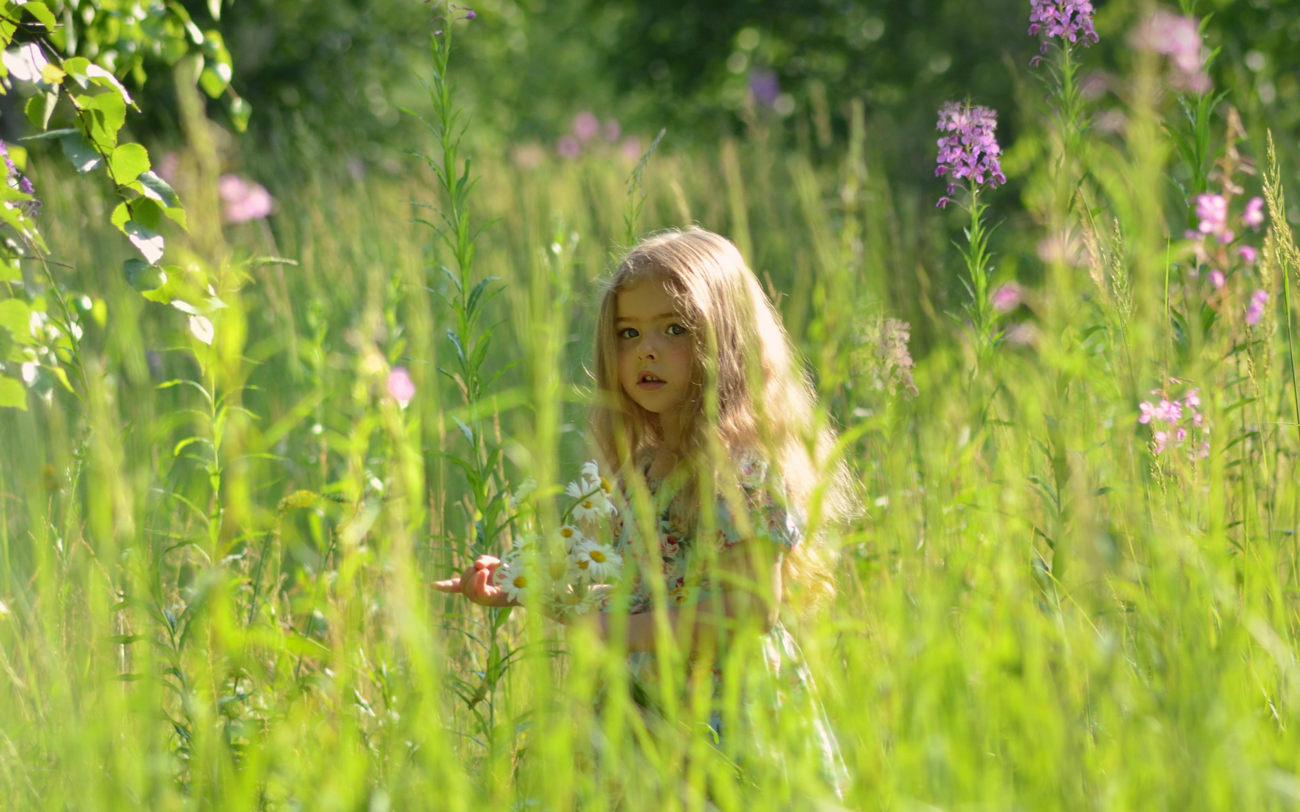 Девушка с большой грудью на поляне с одуванчиками - эротика на природе
