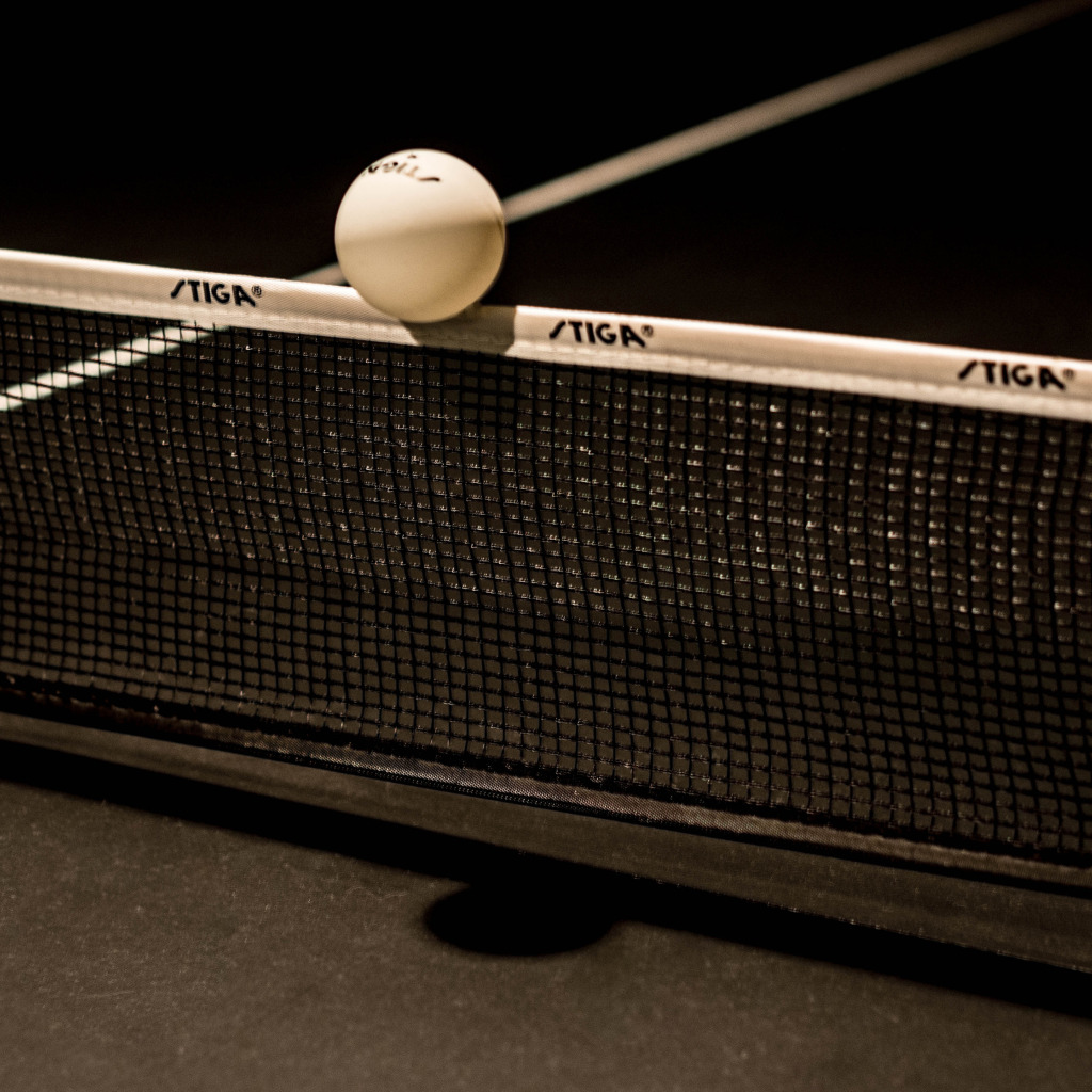 Теннис сетка игры. Пинг-понг и настольный теннис. Пинг понг сетка. Ping Pong Table Tennis. Сетка для настольного тенниса.