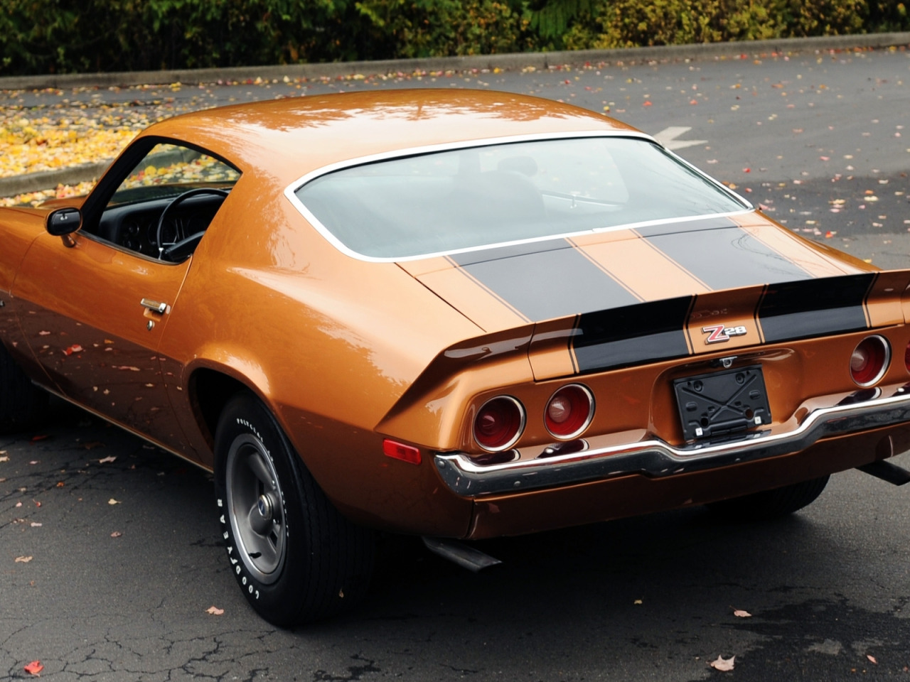 leaves, orange, background, coupe, Chevrolet, Camaro, Chevrolet, 1971, Cama...