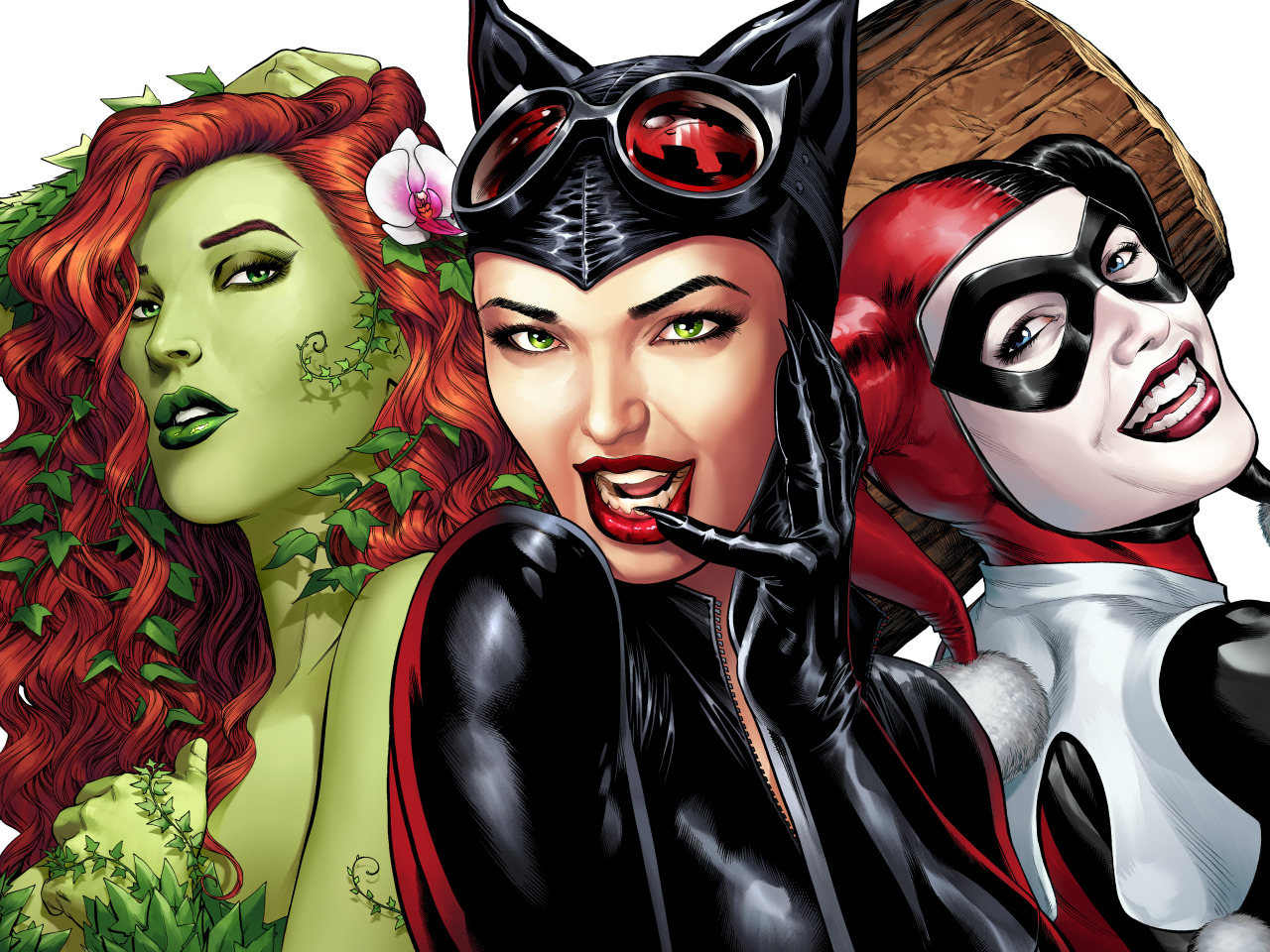 the game, art, poison ivy, DC Comics, Catwoman, Selina Kyle, cat woman, Har...