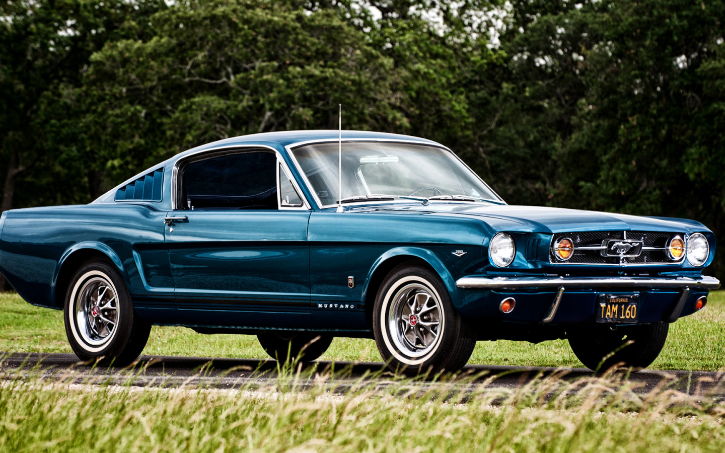 1965 Ford Mustang Fastback AC Shelby Stripes - American ...