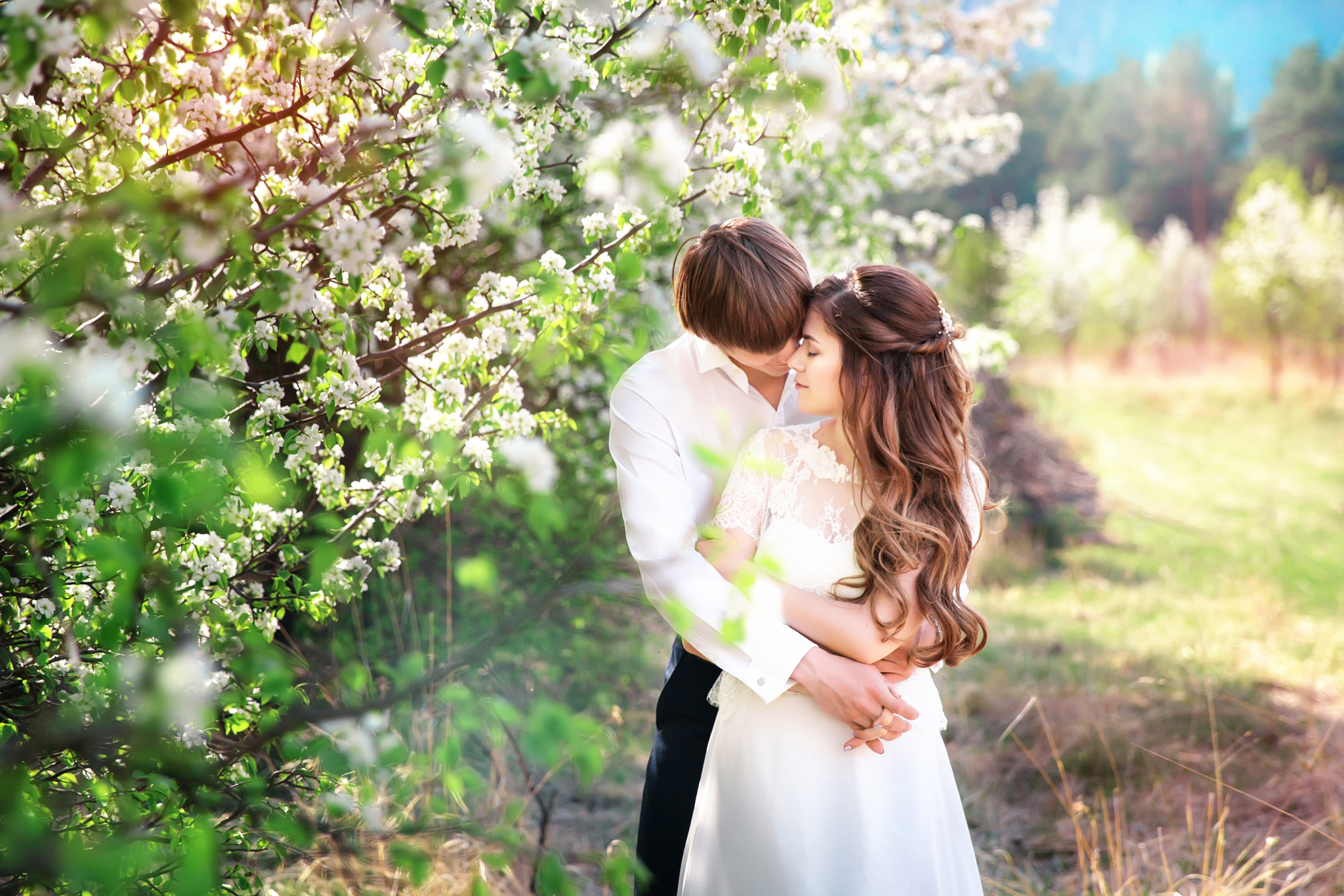 love, spring, the bride, flowering, the groom, Natalia Panina. 