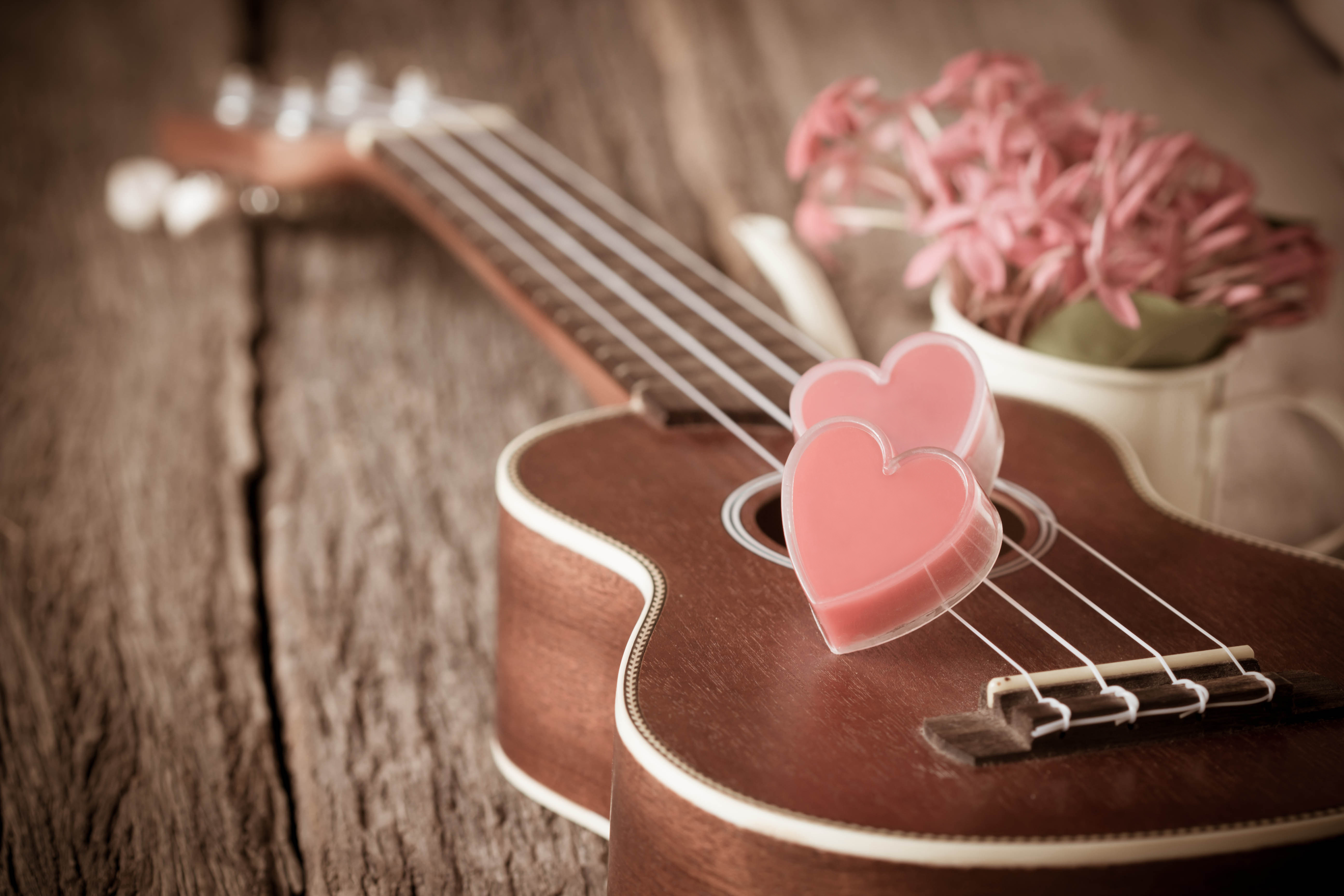 Download wallpaper flowers, heart, guitar, love, vintage, heart, romantic,  section mood in resolution 5184x3456