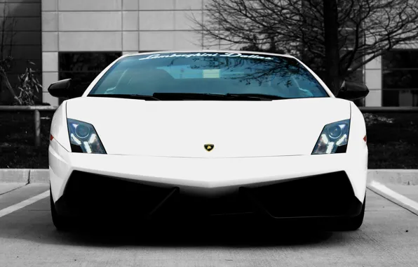 Picture Lamborghini, City, supercar, Gallardo, cars, auto, Supercars, Wallpaper HD, Parking, Race car, lp570-4, Wallpapers auto, …