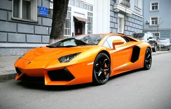 Picture orange, Lamborghini, supercar, Lamborghini, Aventador, aventador, LP 700-4