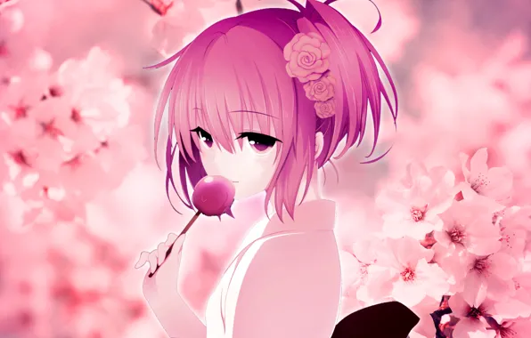 Picture girls, Sakura, kimono, pink hair, cherry blossoms, Wallpaper anime, candy on the Desk
