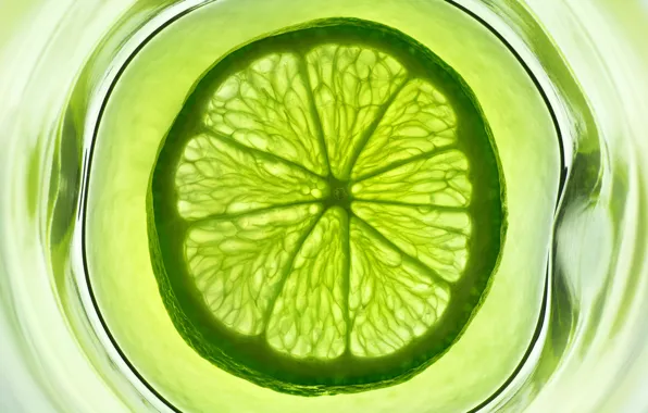 Picture water, glass, green, fruit, lime, citrus