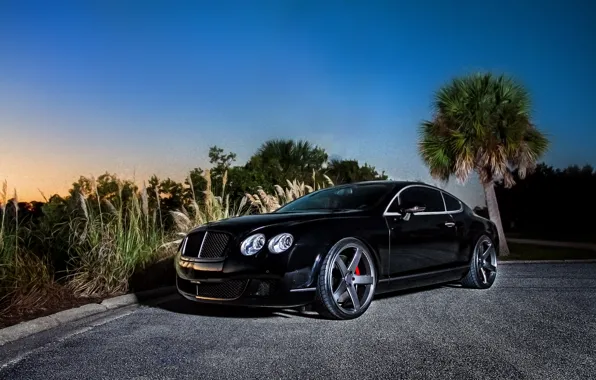 Picture black, coupe, Bentley, Continental GT, black, front, Bentley, continental