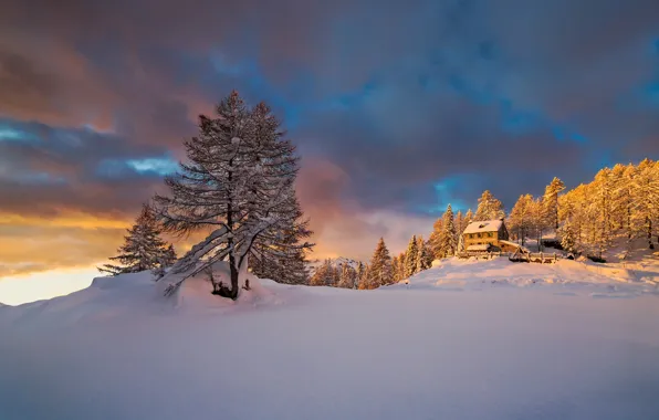 Picture winter, light, snow, mountains, morning, Alps, Italy, January, Piedmont