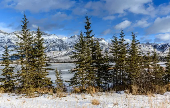 Picture snow, mountains, lake, ate, Canada, Albert, national Park, Jasper