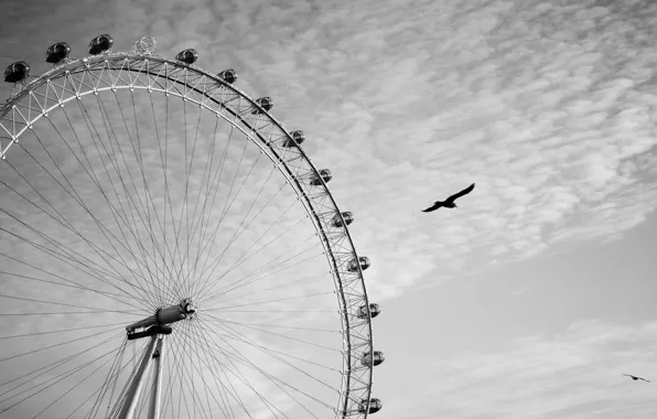 Picture the sky, clouds, birds, London, black and white, Ferris wheel, london, london eye, the London …