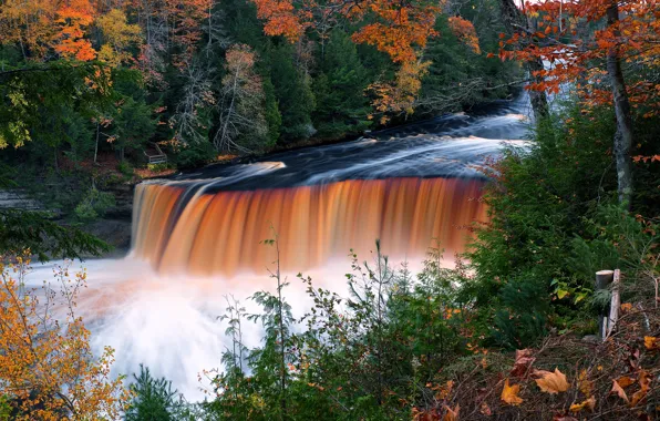 Picture autumn, forest, trees, river, waterfall, Michigan, Michigan, Tahquamenon Falls State Park, Tahquamenon Falls, Tahquamenon River, …