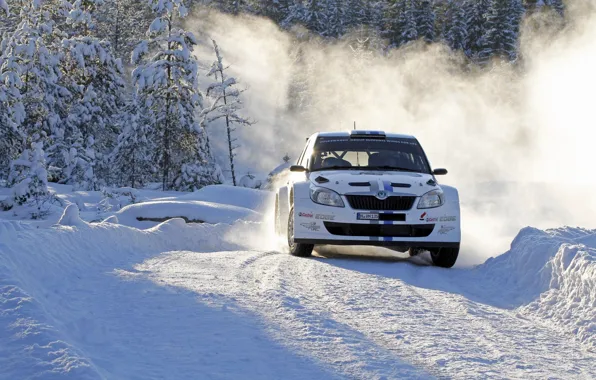 Picture Winter, Snow, Sport, Turn, Day, Car, WRC, Rally, Rally, Skoda, Fabia, Skoda