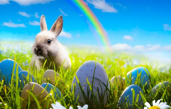 Picture the sky, grass, flowers, chamomile, eggs, rainbow, spring, rabbit, meadow, Easter, rainbow, grass, sunshine, rabbit, …