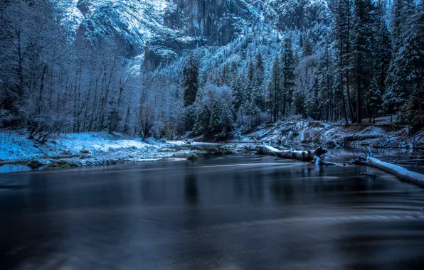 Picture winter, snow, trees, river, rocks, CA, USA, Yosemite, driftwood, Yosemite National Park
