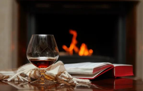 Picture glass, the evening, book, fireplace, plaid, cognac