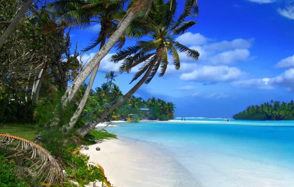Picture sand, sea, beach, shore, summer, beach, sea, sand, shore, paradise, palms, tropical