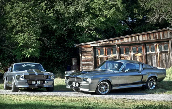 Picture GT500, Ford Mustang, Shelby Eleanor, Ford Mustang