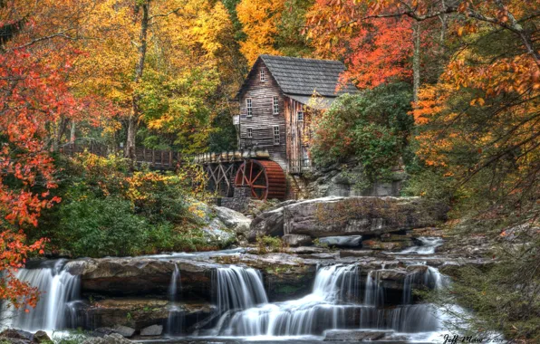 Picture autumn, forest, leaves, trees, nature, house, river