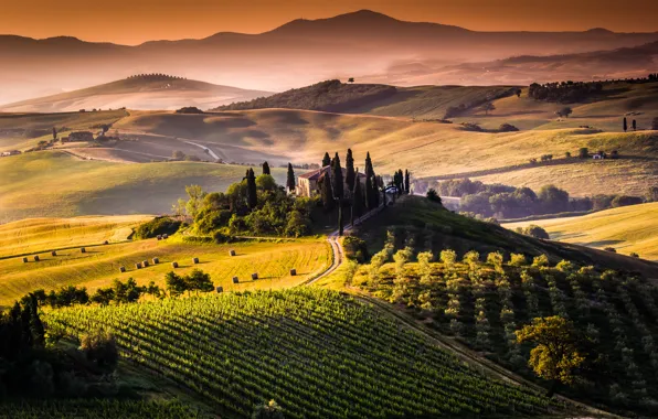 Picture the sun, trees, landscape, nature, sunrise, hills, field, morning, hay, Italy, Italy, Tuscany, Toscana, Tuscany, …