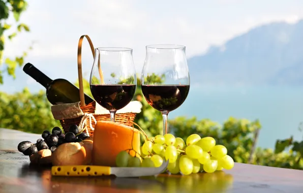 Picture table, wine, red, basket, bottle, cheese, glasses, bread, grapes, the vineyards