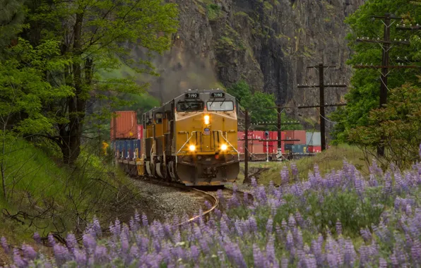 Picture nature, rails, train, railroad, locomotive
