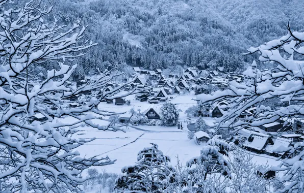 Picture winter, snow, home, Japan, village, the island of Honshu, Gokayama, Shirakawa-go
