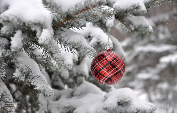 Picture winter, tree, new year, Christmas, spruce, ball, decoration