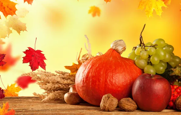 Picture autumn, leaves, mushrooms, Apple, pumpkin, fruit, vegetables, Kalina