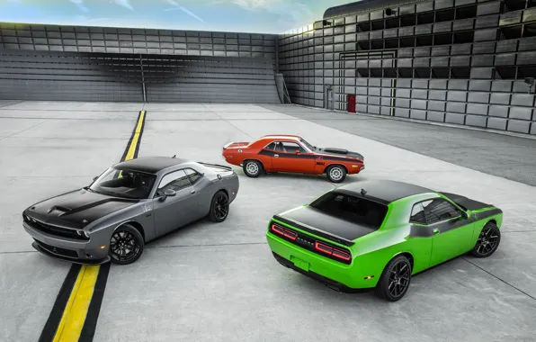 Picture green, Dodge, Challenger, red, Dodge, cars, grey, muscle cars, T/A, T/A 392