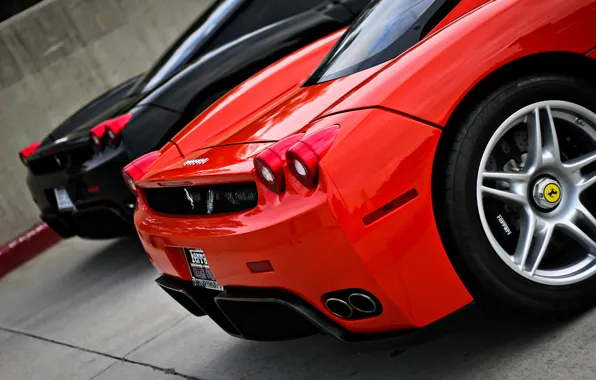 Picture red, black, Ferrari, supercar, red, supercar, Ferrari, black, enzo, back, Enzo
