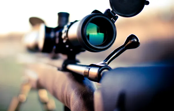 Picture Rifle, Macro, Remington 700