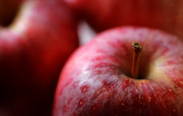 Picture macro, apples, harvest, fruit