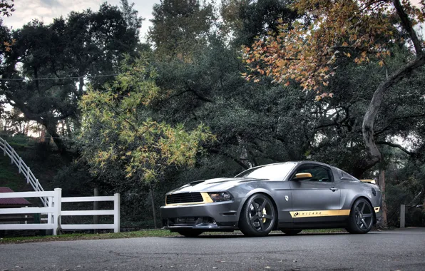 Picture road, forest, trees, the fence, Mustang, Ford, Mustang, silver, muscle car, Ford, the front part, …