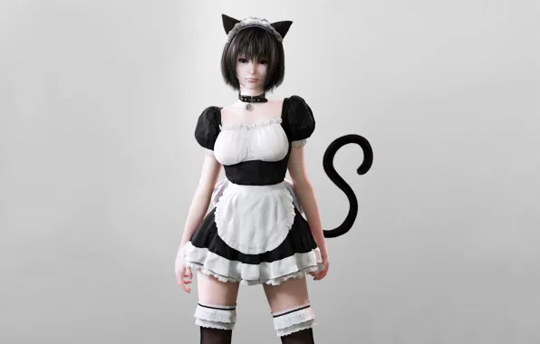 Picture Girl, minimalism, tail, ears, the maid