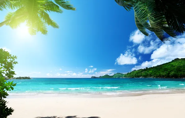Picture sand, sea, beach, tropics, palm trees, shore, summer, sunshine, beach, sea, ocean, paradise, vacation, palms, …