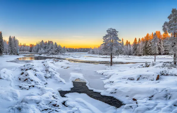 Picture winter, snow, trees, river, Finland, Finland, Oulu, Oulu, Kiiminki River River, Koiteli the