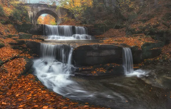 Picture autumn, leaves, bridge, river, waterfall, cascade, Bulgaria, Bulgaria