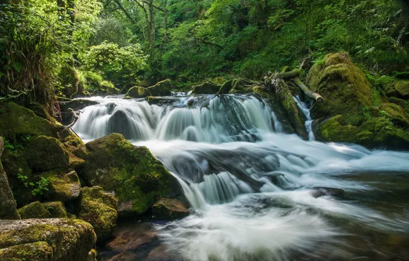 Picture forest, river, England, waterfall, cascade, England, Cornwall, Cornwall, River Fowey, Golitha Falls