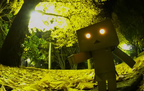 Picture eyes, light, trees, Park, foliage, horror, robot, danbo, Danboard, box, toy