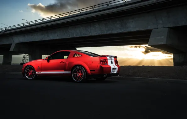 Picture Mustang, Ford, Shelby, GT500, Muscle, Light, Red, Car, Sunset, Collection, Aristo, Rear