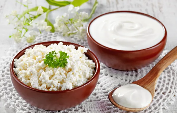 Picture spoon, spoon, cheese, sour cream, dairy products, sour cream, milk products, cottage cheese, parsley leaves, …