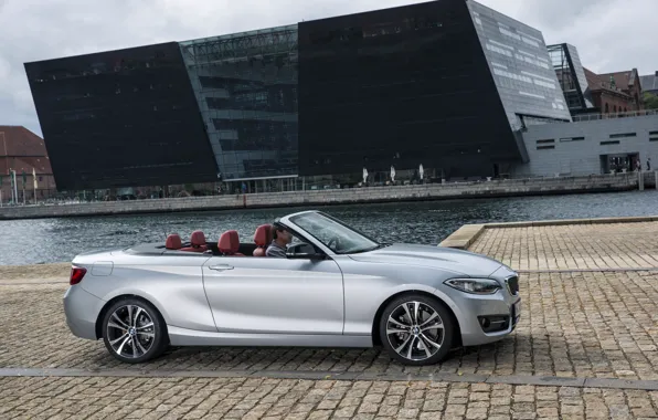 Picture photo, BMW, Convertible, Car, convertible, Side, 2015, Silver, F23, 228i