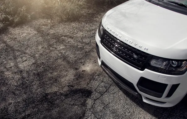 Picture Land Rover, Range Rover, land Rover, range Rover, Vogue, 2015