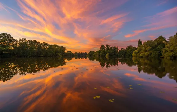 Picture trees, sunset, lake, reflection, Germany, Hamburg, Germany, Hamburg, High Deicher Lake, lake Haendiges