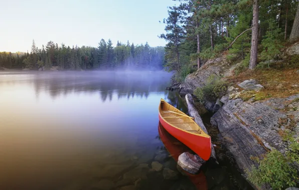 Picture boat, Lake, Forest, Canoeing