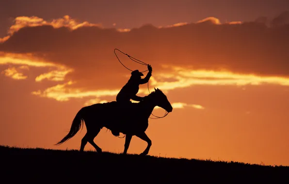 Picture horse, the evening, silhouette, cowboy, lasso