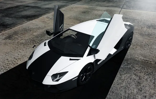 Picture white, black, Lamborghini, before, white, black, front, aventador, Lamborghini, aventador