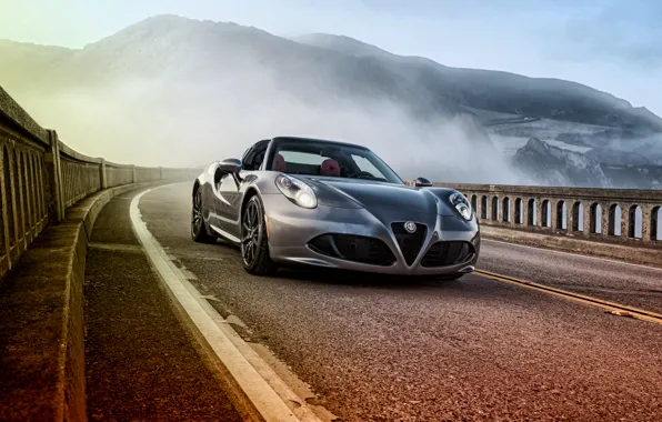 Picture Alfa Romeo, Alfa Romeo, Spider, US-spec, 2015, 960