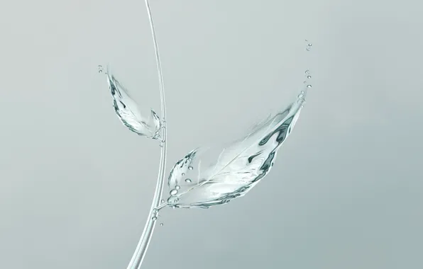 Picture water, bubbles, sheet, minimalism, bubbles, minimalism, water, leaf